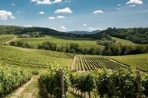 Tra vino, territorio e arte, come possono gli attori della filiera contribuire al progresso socioeconomico della “buona Italia”? A WineNews le risposte di Roberta Pezzetti (Uninsubria), autrice del rapporto sul tema per il Consorzio del Gavi