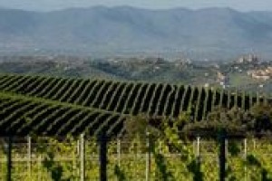 Può un paesaggio essere “moltiplicatore di valore” di un vino? Come possono incidere la bellezza, la storia e la cultura di un luogo per la promozione di un prodotto in bottiglia? Winenews lo ha chiesto all’architetto urbanista Pier Carlo Tesi