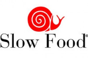 Anche la casa d’aste Bolaffi, al fianco di Slow Food, punta sul mondo delle aste enoiche, con un accordo che rappresenta una vera novità per il panorama italiano. A WineNews, le parole di Gigi Piumatti, direttore di Slow Wine