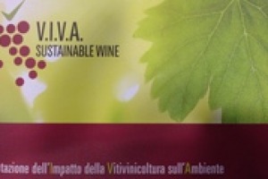 Un prerequisito produttivo ormai irrinunciabile, quello della sostenibilità, perché il mondo è uno solo: questo il messaggio sociale del progetto “Viva Sustainable Wine”, che ha visto a Vinitaly l’esordio delle prime bottiglie certificate