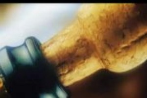 ‘Conoscenza approfondita dei mercati e una comunicazione con una strategia comune’. I consigli di Stefano Raimondi (Istituto nazionale commercio estero) per il futuro dell’export dell’Italia del vino