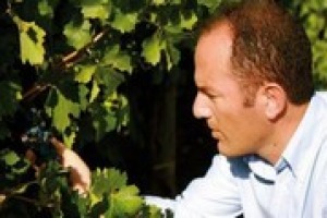 “I dati del vino italiano nella prima metà del 2016 sono positivi. Ma serve attenzione: il mercato mondiale è competitivo, i fondi promozione vanno spesi in promozione. E le regole sugli impianti riviste”: così il presidente Uiv Antonio Rallo