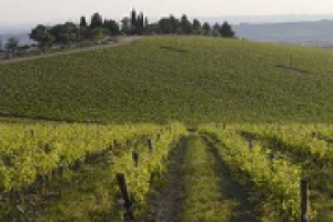 Raccontare più in dettaglio il territorio, fare squadra anche presso le istituzioni, conoscersi e farsi conoscere di più: nel Chianti Classico nasce l’Associazione Viticoltori Gaiole. Parla il promotore e guida, Francesco Ricasoli (Barone Ricasoli)