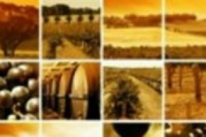 La comunicazione del wine & food? Spesso racconta più il ‘‘floklore’’che la storicità, la fatica e il sacrificio che c’è dietro un prodotto di qualità. Il pensiero di Rita Serafini di Aicig, l’Associazione Italiana Consorzi Indicazioni Geografiche