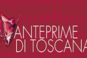 I territori più blasonati del vino toscano, insieme a quelli emergenti della Regione, tutti insieme nell’evento Anteprime di Toscana e Buy Wine. L’assessore all’agricoltura della Regione Gianni Salvadori: “un punto di partenza del vero fare sistema”