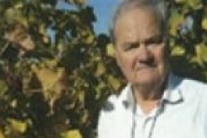 La crisi dei vini dei Castelli Romani arriva da lontano, da quando le varietà autoctone, spazzate via dalla fillossera, furono rimpiazzate da altre più produttive, come racconta a WineNews Giulio Santarelli, protagonista della scena enoica laziale