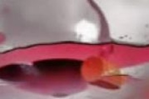 Assoenologi lancia l’allarme: l’export è in ripresa in volumi, ma i margini per le cantine italiane si erodono sempre di più. Insomma, si rischia di esportare senza guadagnare? I commenti di Andrea Sartori (Uiv) e Ottavio Cagiano (Federvini)