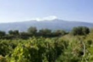 L’Etna è un territorio di antichissima tradizione enologica, forse l’unico in grado di rendere appieno l’identità della Sicilia in un bicchiere di vino. A WineNews il professor Attilio Scienza, tra i massimi studiosi di viticoltura al mondo