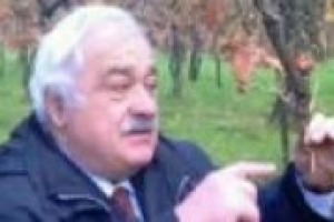 Da antichi padri far nascere nuovi figli nel regno vegetale: le vecchie viti monumentali dimenticate dall’uomo, tornano all’antica vigoria. Adesso il sogno, svelato a WineNews dal professor Scienza, è creare un museo a cielo aperto della vite.