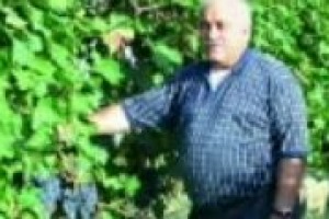 Il mondo del vino si regge sull’equilibrio tra grandi e piccoli produttori, ugualmente importanti per il successo di un territorio. Ne abbiamo parlato con il professor Attilio Scienza, uno dei massimi esperti di viticoltura al mondo