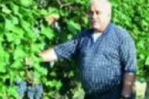 ‘‘La ricerca in vigna porta ricadute positive su tutto il comparto vitivinicolo, per questo è fondamentale che le aziende la sostengano, anche in momenti di crisi come questo’’. Parola di Attilio Scienza, tra i massimi esperti di enologia