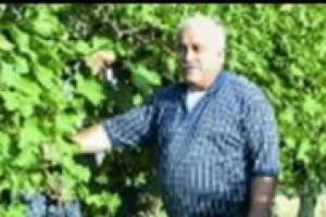 Serve ancora fare ricerca genetica in viticultura? E creare nuove varietà di vitigno è giusto e utile per inseguire il gusto del consumatore? Lo abbiamo chiesto al professor Attilio Scienza, ordinario di viticultura all'Università di Milano