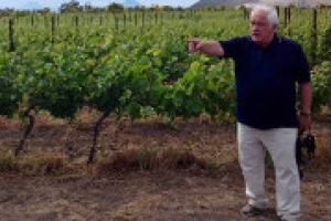 Il futuro della viticoltura italiana, ed europea, nelle riflessioni, a WineNews, del professor Attilio Scienza. “Il cambiamento climatico va affrontato, puntando sulla genetica, sulla ricerca e su una viticoltura diversa, imparando dalla storia”