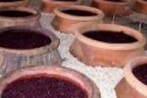 Se ne parla spesso, come se ci fosse un vero e proprio boom. Ma il vino prodotto nelle anfore ‘‘è destinato a rimanere una nicchia di pochi e per pochi. Ma è un elemento di distintività per chi ci punta’’. Parola del professor Attilio Scienza