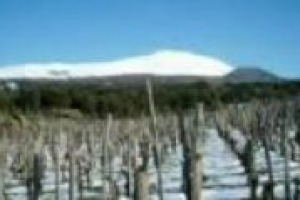 Vulcani estinti milioni di anni fa, vulcani che invece continuano ad eruttare: quali sono le affinità e le divergenze tra i vini ottenuti in questi particolari terreni? Da Vulcania, le parole di Attilio Scienza, tra i massimi esperti in materia