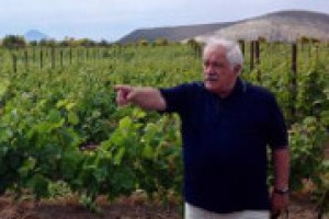 “Basta con il rifiuto della scienza, la genetica è il nostro futuro, non possiamo legarci solo alla storia del vino, bisogna guardare avanti, senza fede cieca in biologico, o piantando dove non si dovrebbre”. Così, da Assoenologi, Attilio Scienza