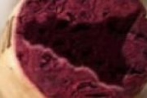 Tra progetti pubblici e privati, la Sicilia del vino guarda alla ricerca scientifica e alla tutela dell’ambiente. Lo spiegano il professor Attilio Scienza e Dario Cartabellotta, direttore dell’Istituto Regionale Vite Vino