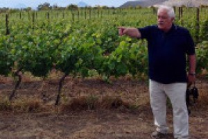 “In Italia, dove la viticoltura è storicamente diffusa, rischiamo una concentrazione in certi territori del vino, un po’ come in Francia, e una sorta di monocoltura”. La provocazione di Attilio Scienza, tra i massimi esperti di viticoltura al mondo