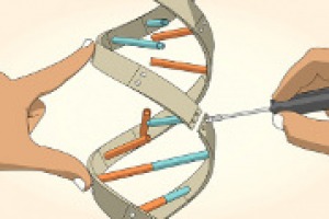 “Il “Genoma Editing” in vigna per far fare un salto qualitativo enorme alla viticoltura italiana sul fronte della lotta alle malattie senza Ogm o transgenico”: a dirlo, e a spiegare questa pratica, a WineNews il professor Attilio Scienza