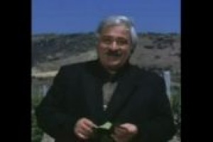 La viticultura italiana ha grandi margini di sviluppo, ma non vanno tarpate le ali alla ricerca e all'innovazione. Il pensiero del professor Attilio Scienza dell'Università di Milano