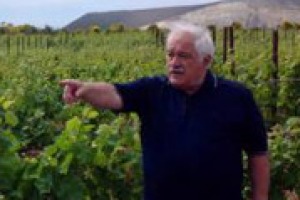 “Il futuro della viticoltura e della sostenibilità della filiera del vino passa dalla ricerca genetica, per varietà di vite più resistenti alle malattie da creare senza però ricorrere agli Ogm”: a WineNews Attilio Scienza (Università di Milano)