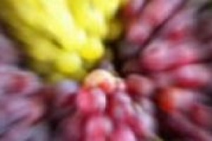 ‘‘Alcol, abuso e guida , i divieti servono, ma devono essere pensati e spiegati attraverso il dialogo. Problema dei giovani? I più pericolosi sono i 30-45enni’’. Così Amedeo Cottino, docente di Sociologia all’Università di Torino