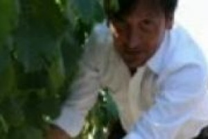 Nel 2011 le mete preferite dei wine lovers sono state Piemonte e Toscana, ma per il 2012 l’‘‘esercito’’ degli enoturisti punta il Sud Italia, specie la Puglia. Nelle parole dell’Assessore all’Agricoltura Dario Stefano i perché di tanto successo