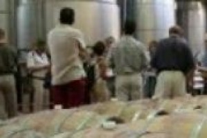 Tra la presenza di produttori di qualità, indirizzi in cui mangiar bene, patrimonio paesaggistico e strutture ricettive di livello, come si calcola la competitività enogastronomica di un territorio? Lo abbiamo chiesto al professor Fabio Taiti