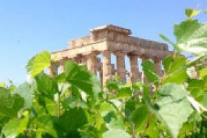 Con un progetto per il territorio Cantine Settesoli ha “adottato” in Sicilia l’antica Selinunte, sfondo dei suoi vigneti. Da oggi, per ogni bottiglia venduta in gdo, 10 centesimi saranno donati con l’art bonus. Lo racconta il presidente Vito Varvaro