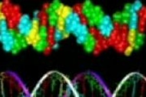 Vino, analisi e tracciabilità - Massimo Vincenzini, Università di Firenze: ‘Si capirà l’origine dall’analisi della bottiglia, ma è più facile individuare i vitigni con caratteristiche uniche’ Vino, analisi e tracciabilità - Massimo Vincenzini, Università di Firenze: ‘Si capirà l’origine dall’analisi della bottiglia, ma è più facile individuare i vitigni con caratteristiche uniche’