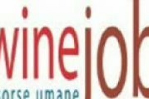 Antinori, Frescobaldi, Zonin, Ferrari, Banfi sono, grazie alla qualità dei propri vini, tra le migliori aziende del Belpaese ma, secondo WineJob, adesso vantano un altro primato: quello dei luoghi di lavoro più ambiti da chi opera nel settore