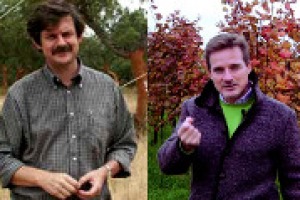 Nelle parole del professor Andrea Pitacco e dell’agronomo Marco Tonni (Sata), Winezero, il progetto pilota del Consorzio Vini Venezia, in collaborazione con il Consorzio Prosecco Doc, che ha misurato l’impronta carbonica della filiera vitivinicola