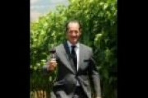 Il futuro del mondo del vino? Il ministro Zaia: "Con i giovani. Pensare che il mondo del vino possa avere un futuro senza sarebbe deleterio. Devono essere avvicinati secondo i criteri di qualità e consumo responsabile"