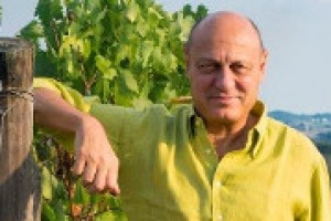 Il Chianti Classico chiude il mese di maggio con un +58% delle vendite sullo stesso mese del 2016: un segnale di salute per tutto il territorio, ma c’è ancora tanto da fare, come racconta a WineNews il presidente del Consorzio Sergio Zingarelli