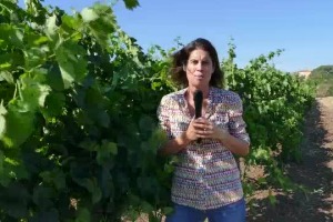 Azienda biologica ante litteram, gi&agrave; dal 1946, alle porte di Roma, sulla Via Appia, progetto visionario in cui si sono intrecciate storie di famiglia, e che ora guarda al futuro con la guida di Alessia Antinori. La storia della Fattoria di Fiorano