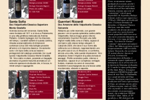 I Quaderni di Winenews - N. 103