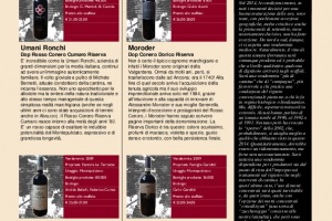 I Quaderni di Winenews - N. 106