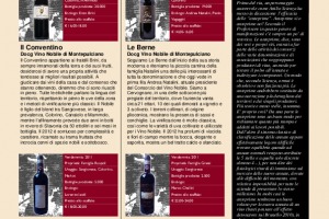 I Quaderni di Winenews - N. 113