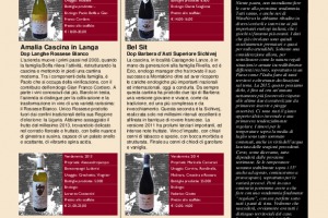 I Quaderni di Winenews - N. 117