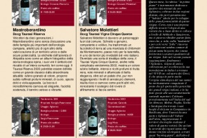 I Quaderni di WineNews - N. 11