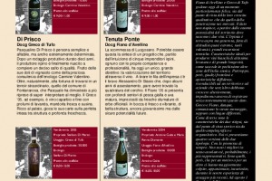 I Quaderni di WineNews - N. 13