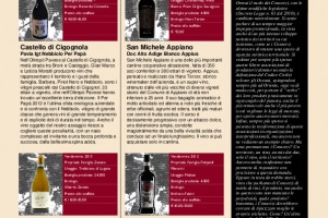 I Quaderni di Winenews - N. 141