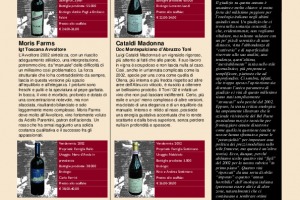 I Quaderni di WineNews - N. 15