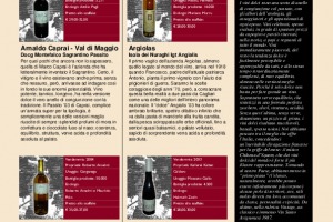 I Quaderni di WineNews - N. 17