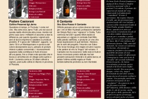 I Quaderni di Winenews - N. 22