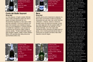 I Quaderni di Winenews - N. 24