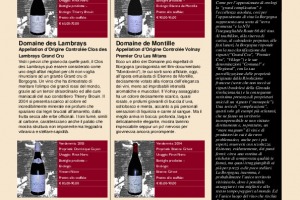 I Quaderni di Winenews - N. 25