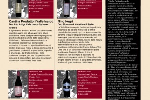 I Quaderni di Winenews - N. 26