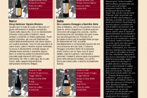 I Quaderni di Winenews - N. 27