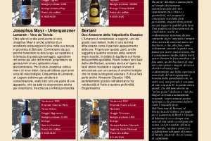 I Quaderni di Winenews - N. 28